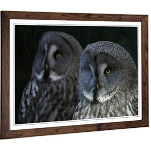 Big Box Art Framed Print of Dark Grey Owls Birds Design Wall Art Picture Home Decor for Kitchen, Living, Dining Room, Lounge, Bedroom, Hallway, Office, Walnut, A2 / 24.5x18 Inch / 62x45cm Big Box Art Framed Print of Dark Grey Owls Birds Design Wall Art Picture Home Decor for Kitchen, Living, Dining Room, Lounge, Bedroom, Hallway, Office, Walnut, A2 / 24.5x18 Inch / 62x45cm