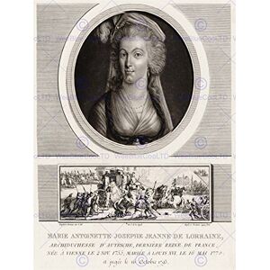 Wee Blue Coo Painting Eulogy Obloquy Levachez Queen Marie Antoinette Wall Art Print Wee Blue Coo Painting Eulogy Obloquy Levachez Queen Marie Antoinette Wall Art Print