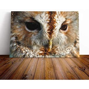 Big Box Art Canvas Print Wall Art Barn Owl (2) Mounted and Stretched Box Frame Picture Home Decor for Kitchen, Living, Dining Room, Bedroom, Hallway, Multi-Colour, 24x16 Inch Big Box Art Canvas Print Wall Art Barn Owl (2) Mounted and Stretched Box Frame Picture Home Decor for Kitchen, Living, Dining Room, Bedroom, Hallway, Multi-Colour, 24x16 Inch