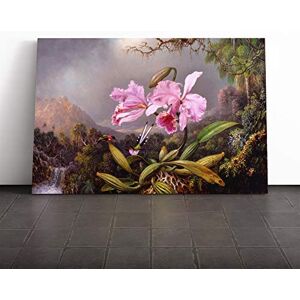 Big Box Art Canvas Print Wall Art Martin Johnson Heade Orchid Study Mounted & Stretched Box Frame Picture Home Decor for Kitchen, Living Room, Bedroom, Hallway, Multi-Colour, 30x20 Inch Big Box Art Canvas Print Wall Art Martin Johnson Heade Orchid Study Mounted & Stretched Box Frame Picture Home Decor for Kitchen, Living Room, Bedroom, Hallway, Multi-Colour, 30x20 Inch
