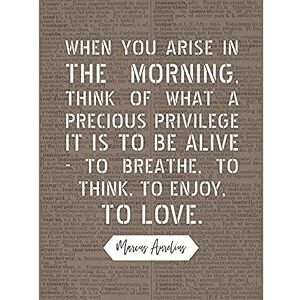 Artery8 Dictionary Inspiring Quote Marcus Aurelius Morning Precious Privilege Alive Unframed Wall Art Print Poster Home Decor Premium Artery8 Dictionary Inspiring Quote Marcus Aurelius Morning Precious Privilege Alive Unframed Wall Art Print Poster Home Decor Premium