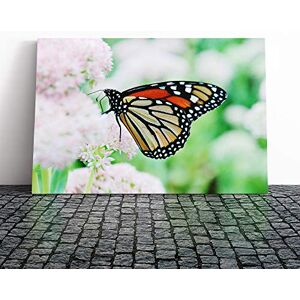 Big Box Art Canvas Print Wall Art Monarch Butterflies on Pink Flowers (2) Mounted & Stretched Framed Picture Home Decor for Kitchen, Living Room, Bedroom, Hallway, Multi-Colour, 20x14 Inch Big Box Art Canvas Print Wall Art Monarch Butterflies on Pink Flowers (2) Mounted & Stretched Framed Picture Home Decor for Kitchen, Living Room, Bedroom, Hallway, Multi-Colour, 20x14 Inch