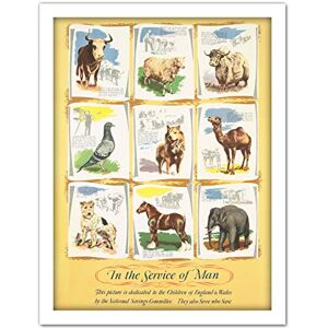 Fine Art Prints War WWII UK Service Animals Army Chart Advert Artwork Framed Wall Art Print 18X24 Inch Fine Art Prints War WWII UK Service Animals Army Chart Advert Artwork Framed Wall Art Print 18X24 Inch