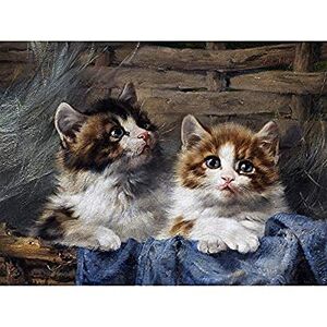Fine Art Prints Adam Two Kittens Basket Blue Cloth Cat Fluffy Painting Art Print Canvas Premium Wall Decor Poster Wandbild Fine Art Prints Adam Two Kittens Basket Blue Cloth Cat Fluffy Painting Art Print Canvas Premium Wall Decor Poster Wandbild