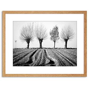 Wee Blue Coo 9x7 '' TREES HORIZON BLACK WHITE FRAMED ART PRINT PICTURE MOUNT PHOTO F97X1560 Wee Blue Coo 9x7 '' TREES HORIZON BLACK WHITE FRAMED ART PRINT PICTURE MOUNT PHOTO F97X1560