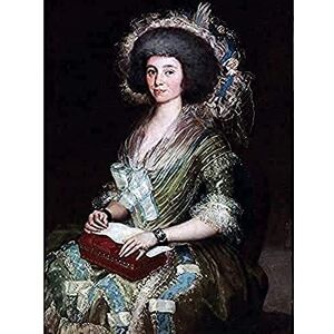 Fine Art Prints Francisco De Goya Y Lucientes Portrait Of Senora Cean Bermudez Unframed Wall Art Print Poster Home Decor Premium Fine Art Prints Francisco De Goya Y Lucientes Portrait Of Senora Cean Bermudez Unframed Wall Art Print Poster Home Decor Premium
