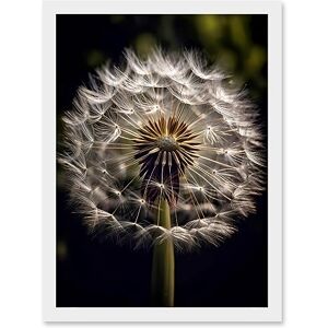 Artery8 Dandelion Flower Pappus Macro Photograph Dark Close Up Detail Artwork Framed A3 Wall Art Print Artery8 Dandelion Flower Pappus Macro Photograph Dark Close Up Detail Artwork Framed A3 Wall Art Print
