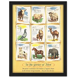 Fine Art Prints War WWII UK Service Animals Army Chart Advert Artwork Framed Wall Art Print 18X24 Inch Fine Art Prints War WWII UK Service Animals Army Chart Advert Artwork Framed Wall Art Print 18X24 Inch
