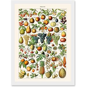 Artery8 - Millot Encyclopedia - Vintage - Framed Wall Art Artery8 - Millot Encyclopedia - Vintage - Framed Wall Art