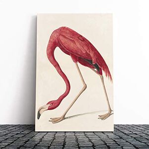 Big Box Art John James Audubon Flamingo Canvas Print Gallery Wrapped 30mm Frame Wall Art 24x16 inches Ready to Hang Modern Animals Picture Living Room Bedroom Lounge Office Big Box Art John James Audubon Flamingo Canvas Print Gallery Wrapped 30mm Frame Wall Art 24x16 inches Ready to Hang Modern Animals Picture Living Room Bedroom Lounge Office
