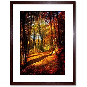 Wee Blue Coo 9x7 '' AUTUMN FOREST SUN ORANGE FRAMED ART PRINT PICTURE MOUNT PHOTO F97X189 Wee Blue Coo 9x7 '' AUTUMN FOREST SUN ORANGE FRAMED ART PRINT PICTURE MOUNT PHOTO F97X189