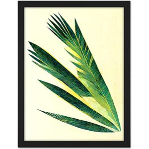 Doppelganger33 LTD Fan Palm Tree Leaf Modern Abstract Illustration Artwork Framed Wall Art Print 18X24 Inch Doppelganger33 LTD Fan Palm Tree Leaf Modern Abstract Illustration Artwork Framed Wall Art Print 18X24 Inch