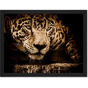 Fine Art Prints Jaguar Head Big Cat Large Framed Art Print Poster Wall Decor 18x24 inch Fine Art Prints Jaguar Head Big Cat Large Framed Art Print Poster Wall Decor 18x24 inch