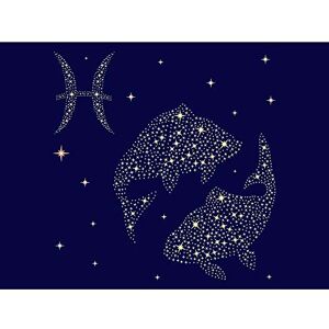 Wee Blue Coo Painting Illustration Zodiac Star Sign Pisces Fish Art Print Poster Wall Decor 12X16 Inch Wee Blue Coo Painting Illustration Zodiac Star Sign Pisces Fish Art Print Poster Wall Decor 12X16 Inch
