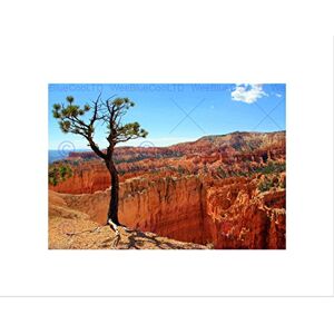 Wee Blue Coo Bryce Canyon Utah USA Landscape Art Picture Wall Art Print Wee Blue Coo Bryce Canyon Utah USA Landscape Art Picture Wall Art Print