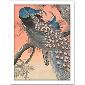Artery8 Ohara Koson Two Peacocks On Tree Branch Painting Artwork Framed Wall Art Print 18X24 Inch Artery8 Ohara Koson Two Peacocks On Tree Branch Painting Artwork Framed Wall Art Print 18X24 Inch