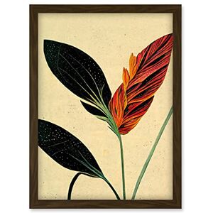 Doppelganger33 LTD Minimalist Tropical Flower Bloom Black Ochre Botanical Artwork Framed Wall Art Print A4 Doppelganger33 LTD Minimalist Tropical Flower Bloom Black Ochre Botanical Artwork Framed Wall Art Print A4