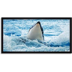 Fine Art Prints Zell Killer Whale Orca Splashing Ocean Photo Framed Wall Art Print Long 25X12 Inch Fine Art Prints Zell Killer Whale Orca Splashing Ocean Photo Framed Wall Art Print Long 25X12 Inch