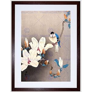Wee Blue Coo Nature Japan Ohara Koson Bird Flower Picture Framed Wall Art Print Wee Blue Coo Nature Japan Ohara Koson Bird Flower Picture Framed Wall Art Print