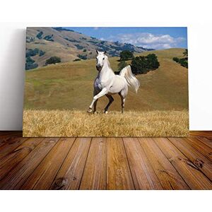 Big Box Art White Horse Running Landscape Canvas Print Gallery Wrapped 30mm Frame Wall Art 30x20 inches Ready to Hang Modern Animals Picture Living Room Bedroom Lounge Office Big Box Art White Horse Running Landscape Canvas Print Gallery Wrapped 30mm Frame Wall Art 30x20 inches Ready to Hang Modern Animals Picture Living Room Bedroom Lounge Office