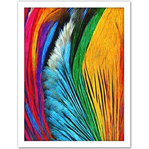 Doppelganger33 LTD Vibrant Rainbow Peacock Feather Abstract Macro Painting Artwork Framed Wall Art Print 18X24 inch Doppelganger33 LTD Vibrant Rainbow Peacock Feather Abstract Macro Painting Artwork Framed Wall Art Print 18X24 inch