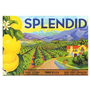 Wee Blue Coo Ad Fruit Farm Food Brand Splendid Lemons Wall Art Print Wee Blue Coo Ad Fruit Farm Food Brand Splendid Lemons Wall Art Print