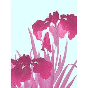 Wee Blue Coo Ohara Koson Pink Iris Flowers Large Wall Art Print Canvas Premium Poster Wee Blue Coo Ohara Koson Pink Iris Flowers Large Wall Art Print Canvas Premium Poster