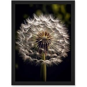 Artery8 Dandelion Flower Pappus Macro Photograph Dark Close Up Detail Artwork Framed Wall Art Print A4 Artery8 Dandelion Flower Pappus Macro Photograph Dark Close Up Detail Artwork Framed Wall Art Print A4