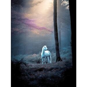 Artery8 Lone White Forest Horse Photograph Enchanted Landscape Sunbeam Extra Large XL Wall Art Poster Print Artery8 Lone White Forest Horse Photograph Enchanted Landscape Sunbeam Extra Large XL Wall Art Poster Print