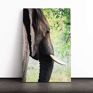 Big Box Art Elephant (2) Canvas Print Gallery Wrapped 30mm Frame Wall Art 24x16 inches Ready to Hang Modern Animals Picture Living Room Bedroom Lounge Office Big Box Art Elephant (2) Canvas Print Gallery Wrapped 30mm Frame Wall Art 24x16 inches Ready to Hang Modern Animals Picture Living Room Bedroom Lounge Office