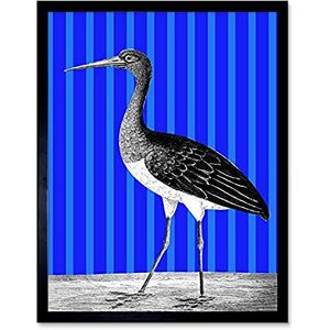 Wee Blue Coo Tall Birds On Stripes Black Stork Blue Unframed Wall Art Print Poster Home Decor Premium Wee Blue Coo Tall Birds On Stripes Black Stork Blue Unframed Wall Art Print Poster Home Decor Premium
