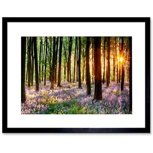 Wee Blue Coo Bluebell Wood Sunrise Tree Art Framed Wall Art Print Wee Blue Coo Bluebell Wood Sunrise Tree Art Framed Wall Art Print