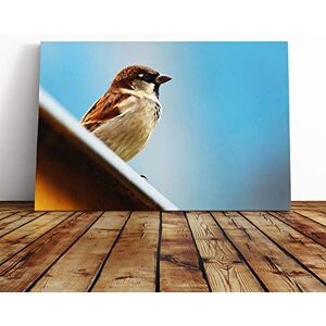 Big Box Art Sparrow Bird (4) Canvas Print Gallery Wrapped 30mm Frame Wall Art 20x14 inches Ready to Hang Modern Animals Picture Living Room Bedroom Lounge Office Big Box Art Sparrow Bird (4) Canvas Print Gallery Wrapped 30mm Frame Wall Art 20x14 inches Ready to Hang Modern Animals Picture Living Room Bedroom Lounge Office