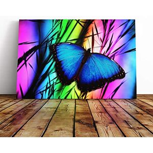 Big Box Art Butterfly Vol.5 Canvas Print Gallery Wrapped 30mm Frame Wall Art 20x14 inches Ready to Hang Modern Animals Picture Living Room Bedroom Lounge Office Big Box Art Butterfly Vol.5 Canvas Print Gallery Wrapped 30mm Frame Wall Art 20x14 inches Ready to Hang Modern Animals Picture Living Room Bedroom Lounge Office
