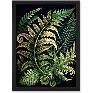 Artery8 Ernst Haeckel Style Fern Fronds Leaf Illustration Artwork Framed A3 Wall Art Print Artery8 Ernst Haeckel Style Fern Fronds Leaf Illustration Artwork Framed A3 Wall Art Print