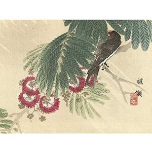 Artery8 Kono Bairei Barn Swallow Japanese Woodblock Premium Wall Art Canvas Print 18X24 Inch Artery8 Kono Bairei Barn Swallow Japanese Woodblock Premium Wall Art Canvas Print 18X24 Inch