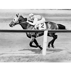 Wee Blue Coo Sport Pollard Jockey Seabiscuit Yonkers Empire City Race Art Print Poster Wall Decor 12X16 Inch Wee Blue Coo Sport Pollard Jockey Seabiscuit Yonkers Empire City Race Art Print Poster Wall Decor 12X16 Inch