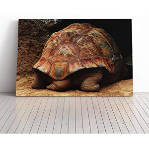 Big Box Art Turtle Tail Canvas Print Gallery Wrapped 30mm Frame Wall Art 24x16 inches Ready to Hang Modern Animals Picture Living Room Bedroom Lounge Office Big Box Art Turtle Tail Canvas Print Gallery Wrapped 30mm Frame Wall Art 24x16 inches Ready to Hang Modern Animals Picture Living Room Bedroom Lounge Office