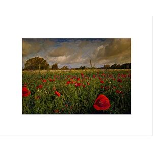 Wee Blue Coo PHOTO LANDSCAPE POPPY FIELD FLOWERS MEADOW FOREST TREES FRAMED PRINT B12X13123 Wee Blue Coo PHOTO LANDSCAPE POPPY FIELD FLOWERS MEADOW FOREST TREES FRAMED PRINT B12X13123