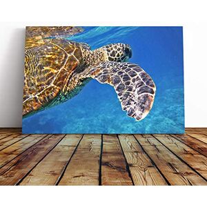 Big Box Art Sea Turtle (2) Canvas Print Gallery Wrapped 30mm Frame Wall Art 24x16 inches Ready to Hang Modern Animals Picture Living Room Bedroom Lounge Office Big Box Art Sea Turtle (2) Canvas Print Gallery Wrapped 30mm Frame Wall Art 24x16 inches Ready to Hang Modern Animals Picture Living Room Bedroom Lounge Office