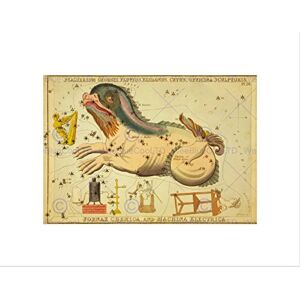 Wee Blue Coo Paintings Drawing Star Map Whale Furnace Constellation Wall Art Print Wee Blue Coo Paintings Drawing Star Map Whale Furnace Constellation Wall Art Print