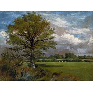 Artery8 Lionel Bicknell Constable Tree In A Meadow Painting Large XL Wall Art Canvas Print Artery8 Lionel Bicknell Constable Tree In A Meadow Painting Large XL Wall Art Canvas Print