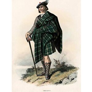 Wee Blue Coo Painting Portrait Highland Clan Scotland Tartan Macleod Art Print Poster Wall Decor 12X16 Inch Wee Blue Coo Painting Portrait Highland Clan Scotland Tartan Macleod Art Print Poster Wall Decor 12X16 Inch