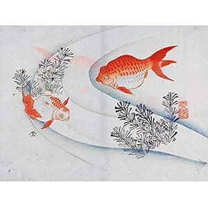 Fine Art Prints Two Goldfish In Water 1830s Yamada Hogyoku Art Print Canvas Premium Wall Decor Poster Mural Fine Art Prints Two Goldfish In Water 1830s Yamada Hogyoku Art Print Canvas Premium Wall Decor Poster Mural
