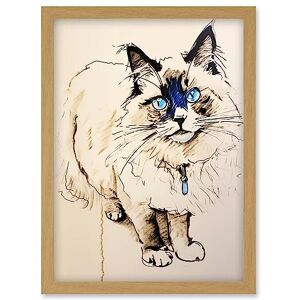 Artery8 Blue Point Ragdoll Cat Sketch Drawing Portrait Artwork Framed Wall Art Print A4 Artery8 Blue Point Ragdoll Cat Sketch Drawing Portrait Artwork Framed Wall Art Print A4
