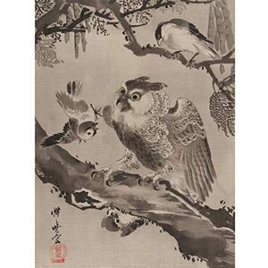 Fine Art Prints Kyosai Owl Mocked Small Birds Japan Painting Art Print Canvas Premium Wall Decor Poster Mural Fine Art Prints Kyosai Owl Mocked Small Birds Japan Painting Art Print Canvas Premium Wall Decor Poster Mural