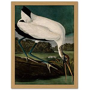 Artery8 Audubon Birds Wood Ibis Painting Artwork Framed Wall Art Print 18X24 Inch Artery8 Audubon Birds Wood Ibis Painting Artwork Framed Wall Art Print 18X24 Inch