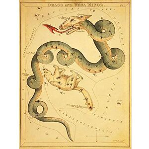 Wee Blue Coo Paintings Drawing Star Map Dragon Great Bear Art Print Poster Wall Decor 12X16 Inch Wee Blue Coo Paintings Drawing Star Map Dragon Great Bear Art Print Poster Wall Decor 12X16 Inch