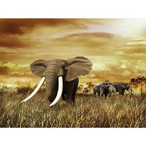 Wee Blue Coo MP PHOTOGRAPHY COMPOSITION NATURE ELEPHANT TUSKS SUNSET SAFARI 18x24 INCH ART POSTER PRINT PICTURE LV6632 Wee Blue Coo MP PHOTOGRAPHY COMPOSITION NATURE ELEPHANT TUSKS SUNSET SAFARI 18x24 INCH ART POSTER PRINT PICTURE LV6632