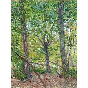Fine Art Prints Vincent Van Gogh Trees and Undergrowth 1887 Large Art Print Poster Wall Decor Premium Mural Fine Art Prints Vincent Van Gogh Trees and Undergrowth 1887 Large Art Print Poster Wall Decor Premium Mural